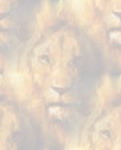 narnia lion art stationery 3