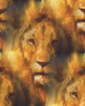 narnia lion art Scrapbooking 3