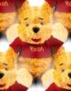 Winnie the Pooh Teddy bear