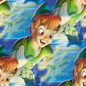 Right Click and Select Save the Tinkerbell and Peter Pan Wallpaper